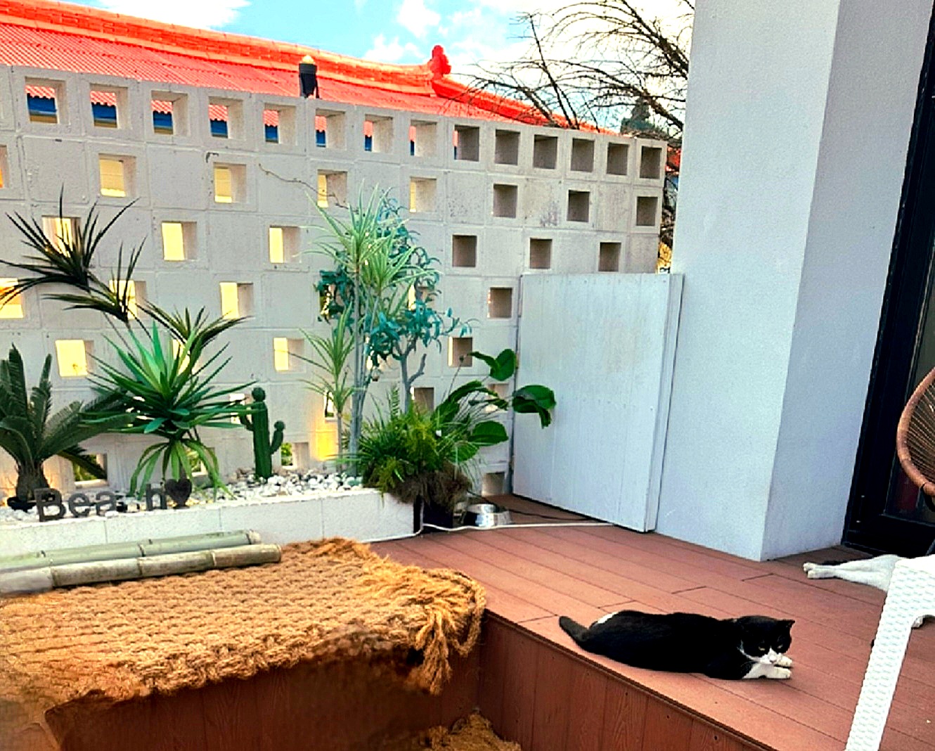 속초에는-좋은-카페가-많아요.