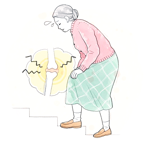 콘드로이친 효능 부작용