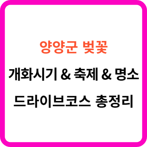 양양 벚꽃 개화시기 명소 드라이브 코스 축제 를 한눈에! 썸네일
