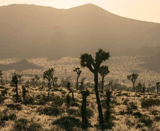 서울시 중랑구&#44; 중구&#44; 용산구&#44; 동작구&#44; 영등포구 무더위 쉼터