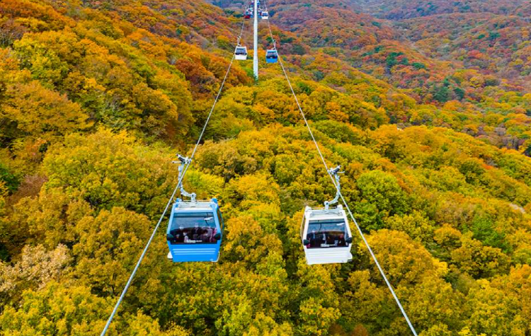 거제 파노라마 케이블카