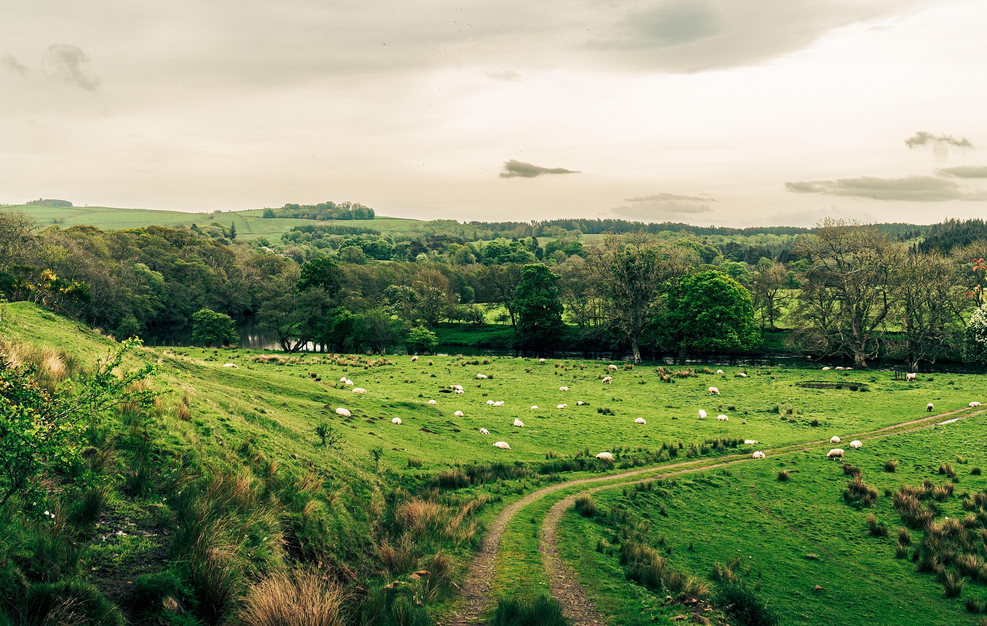 외국이국적풍경