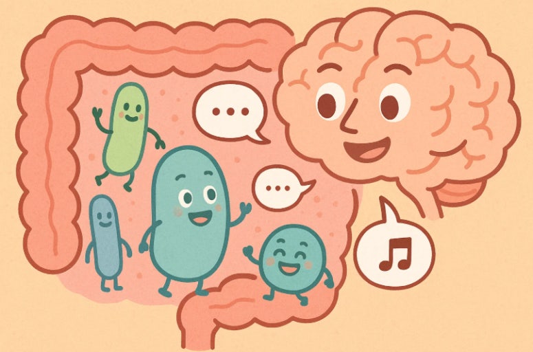 장건강이 무너지면 식욕이 폭발하는 이유｜과식&middot;단 음식 욕구의 진짜 원인 관련 사진