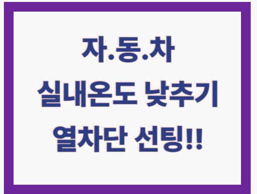 자동차 썬팅
