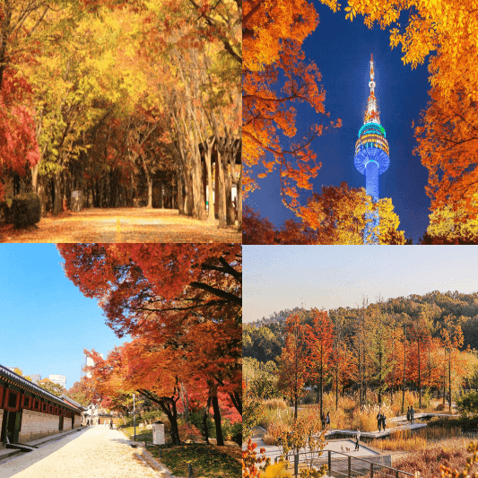 서울단풍명소-썸네일