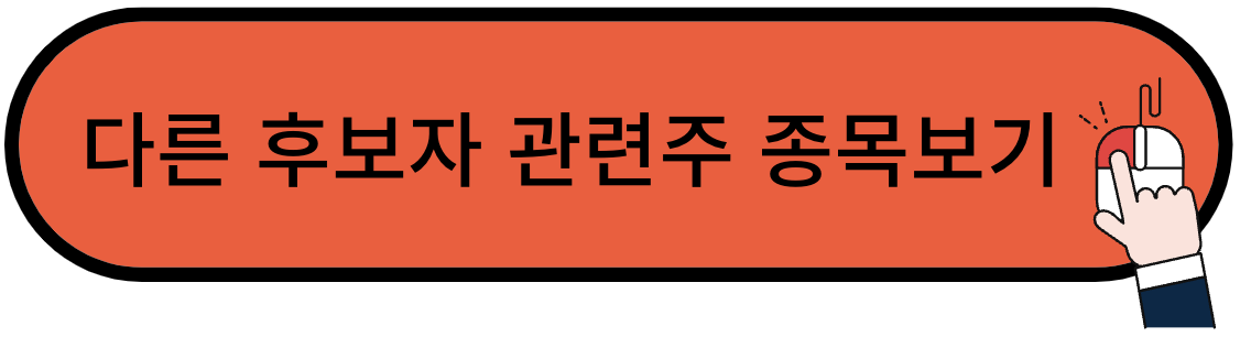 이재명 관련주 테마주