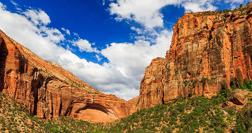 🏕️ 캠핑 & 숙박 정보: 별 아래서 꿈꾸는 자이언의 밤
