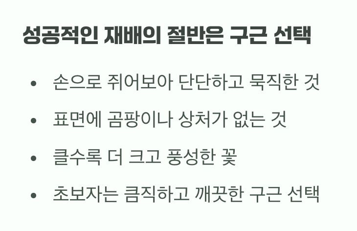 모든 것의 시작, 건강한 구근 고르기