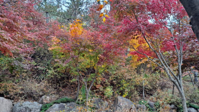 단풍명소_화담숲