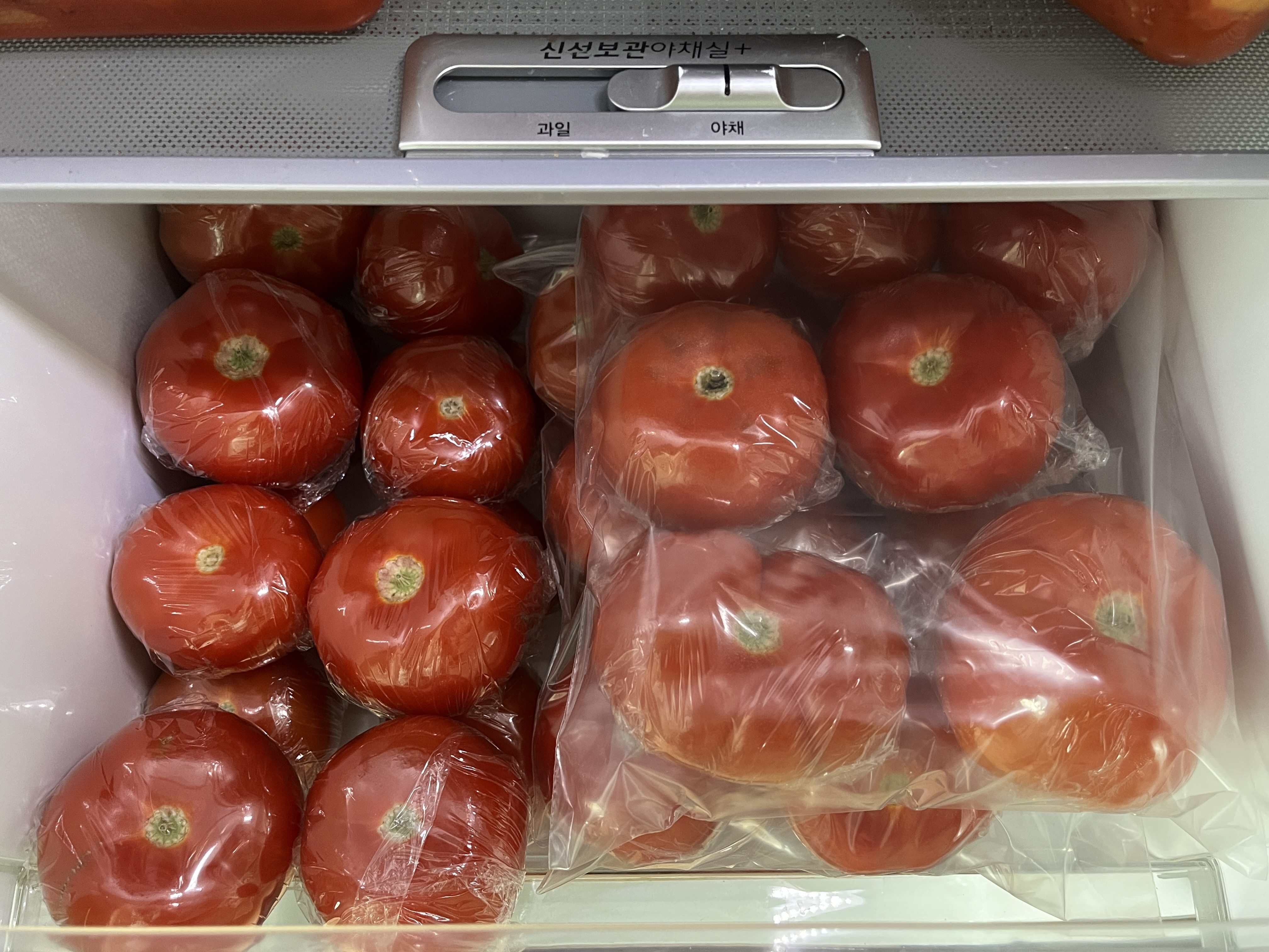 토마토보관