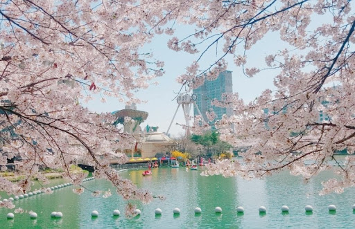 3월 국내 여행지 추천