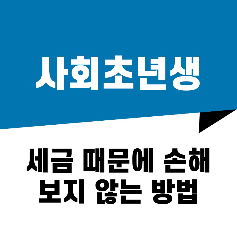 사회초년생이 세금 때문에 손해 보지 않는 방법