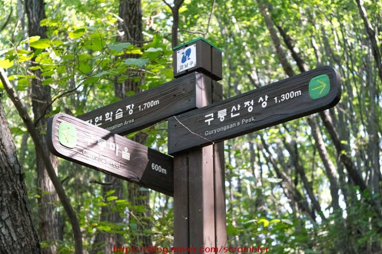 홍성 구룡산계곡: 신비로운 자연의 품에 안기는 한적한 휴식처