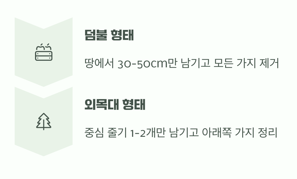 어떻게 잘라야 할까? (실전 팁)