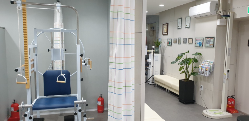 고양시 일산2동 정형외과 유명하고 잘하는 곳 추천 TOP 5