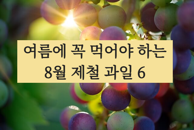 8월 제철 과일