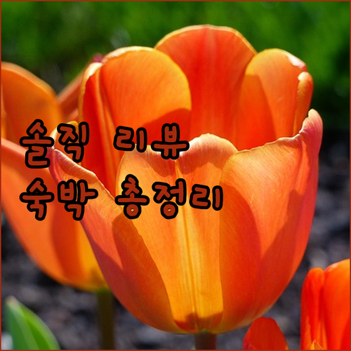 헬몬트 골든 튤립 호텔 웨스트엔드 파..