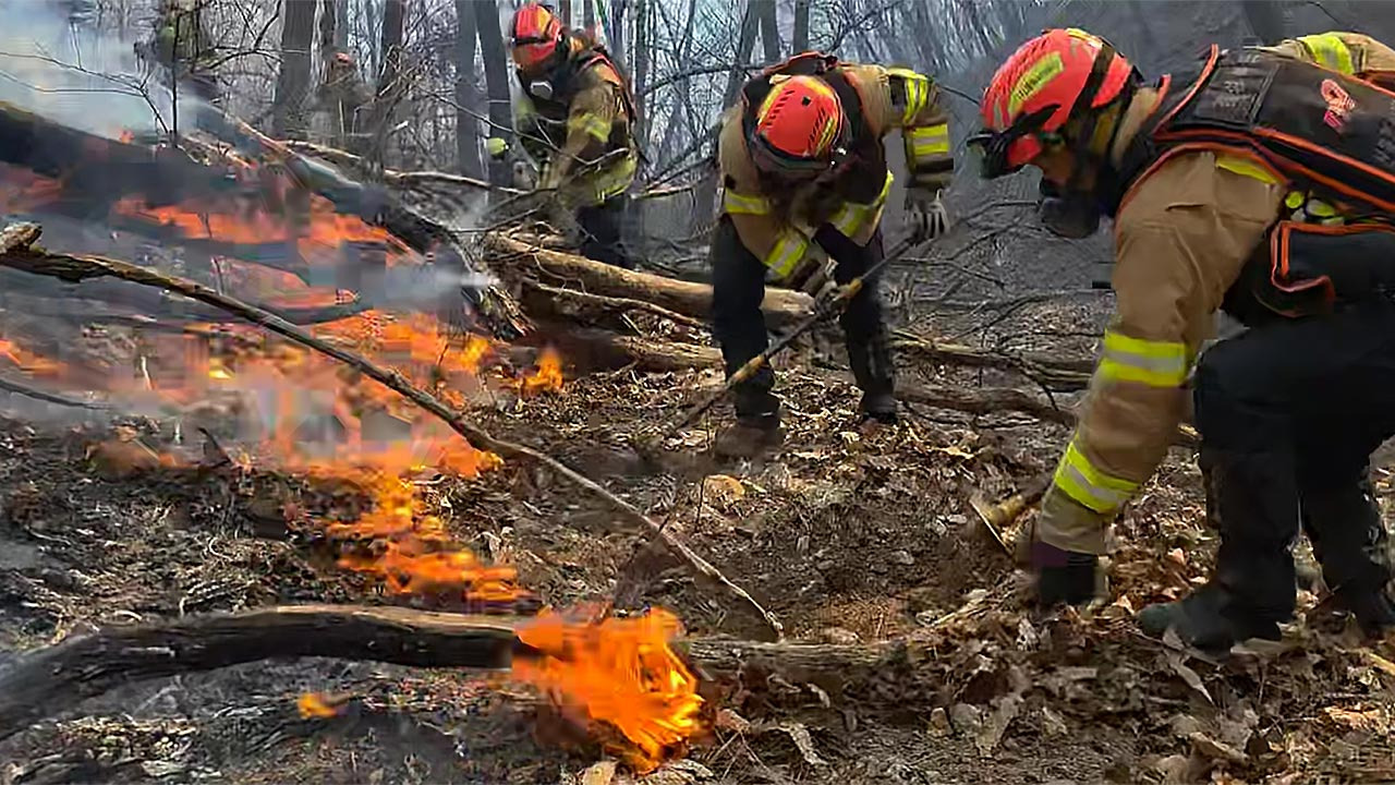 경주 산불 현황 및 원인 분석
