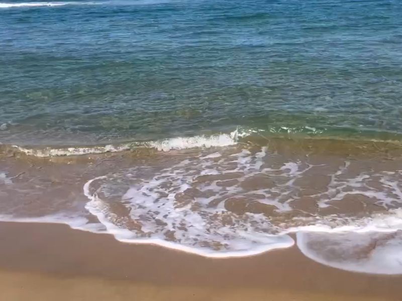 향호해변
