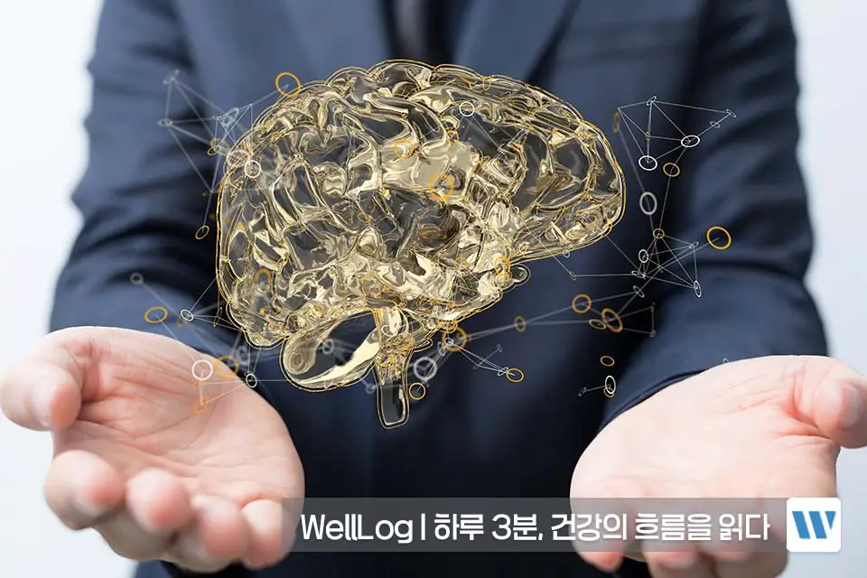 포스파티딜세린 효능 복용법 부작용 하루권장량