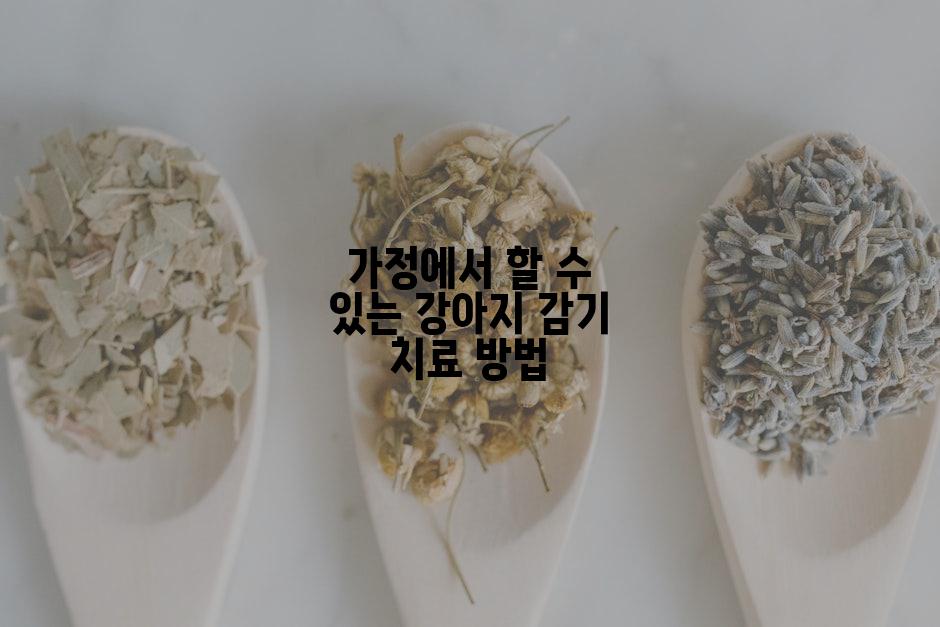 가정에서 할 수 있는 강아지 감기 치료 방법