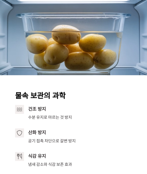 삶은 감자 : 신선함을 오래 유지하는 비밀은 물속에 있다