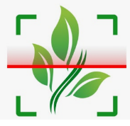 약초인식-카메라앱-로고사진1