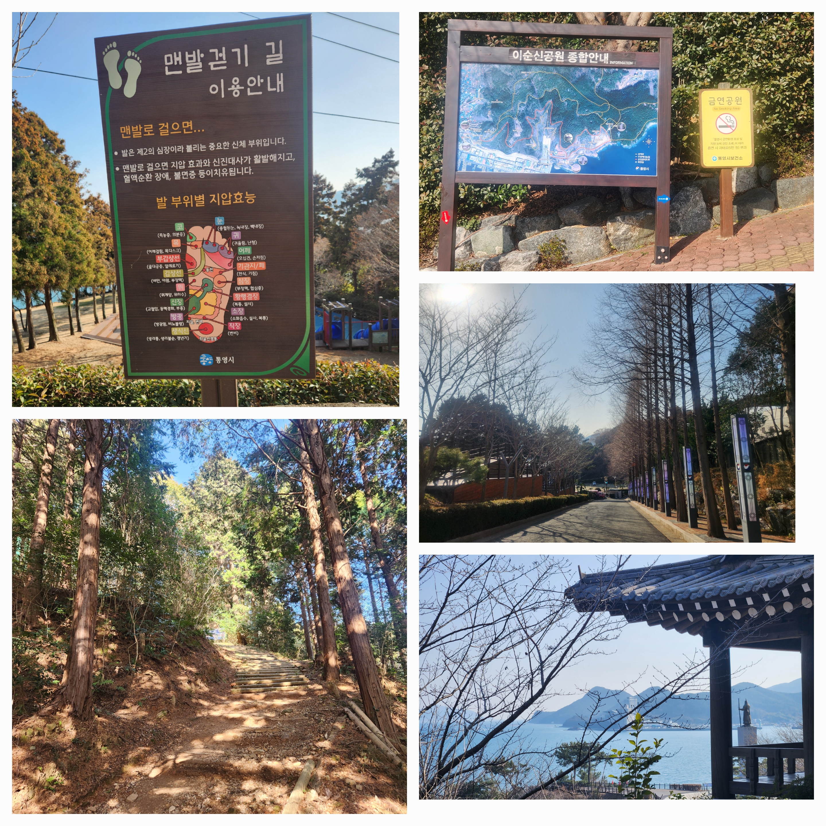 이순신 공원 안내 표지판 사진
이순신 공원 올라 가는 길 사진
이순신 공원 숲 사진