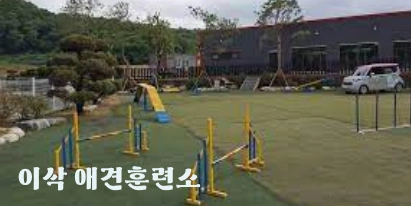 이찬종 애견훈련소