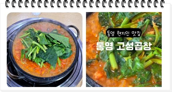 전현무계획2 통영 40년전통 곱창전골 양구이 대창구이 후기