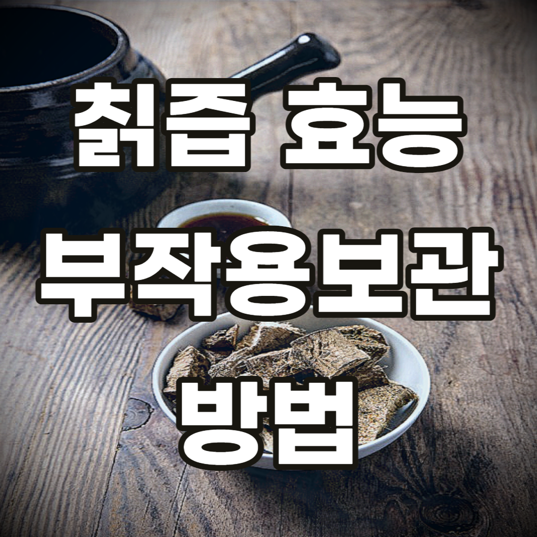 칡즙-칡-뿌리-효능-효과-건강-부작용-보관-방법-보관법