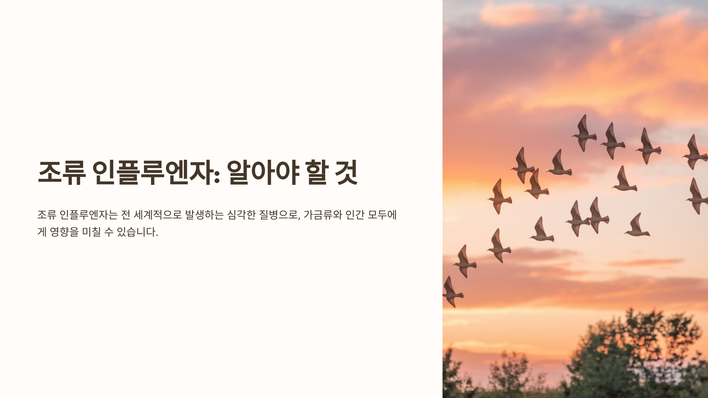 조류 인플루엔자 확산
