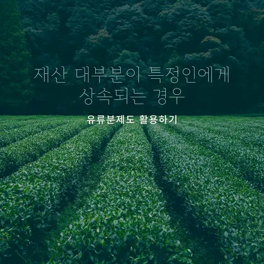 유류분제도 활용하기 썸네일