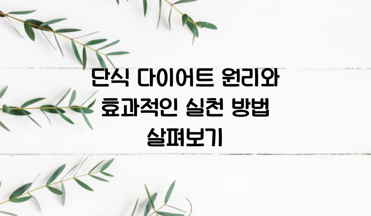 단식 다이어트 원리