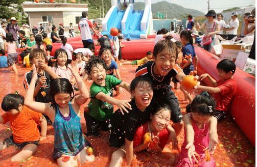 퇴촌 토마토 축제