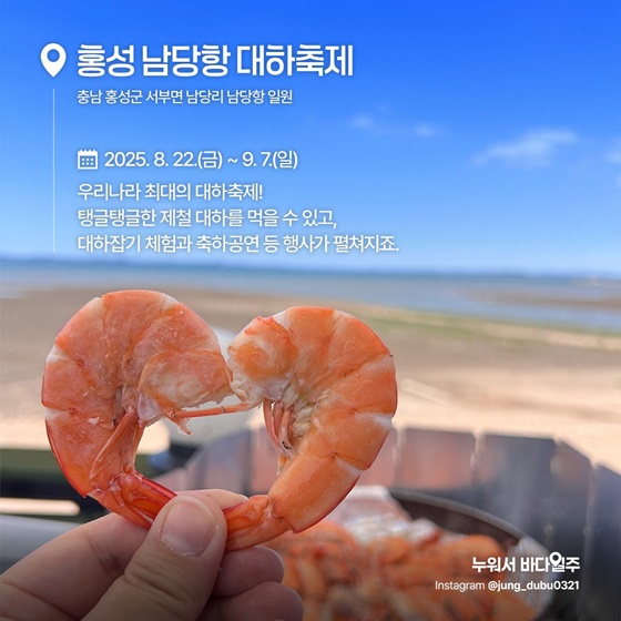 가을축제 대하 전어 꽃게 은갈치 홍성 남당항 서천 홍원항 광양 제주 서귀포 가을미식