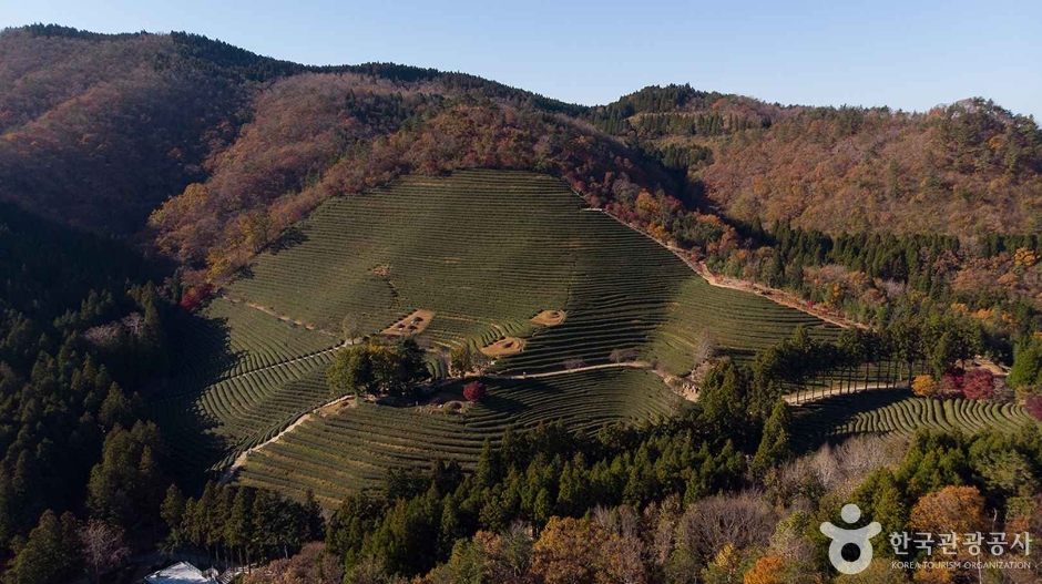 2024 가을 여행지 단풍 명소 추천