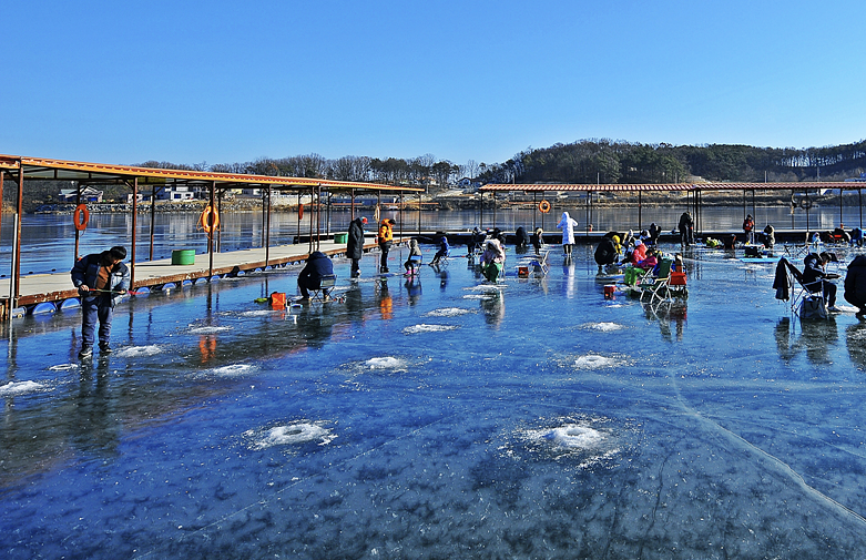 강화 양오 빙어 축제 낚시터