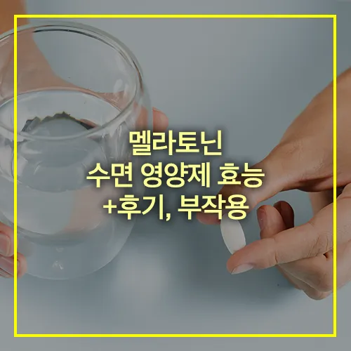 멜라토닌 수면 영양제 효능 후기 부작용