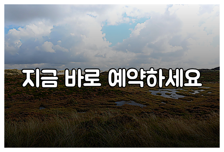 지금 바로 예약하세요