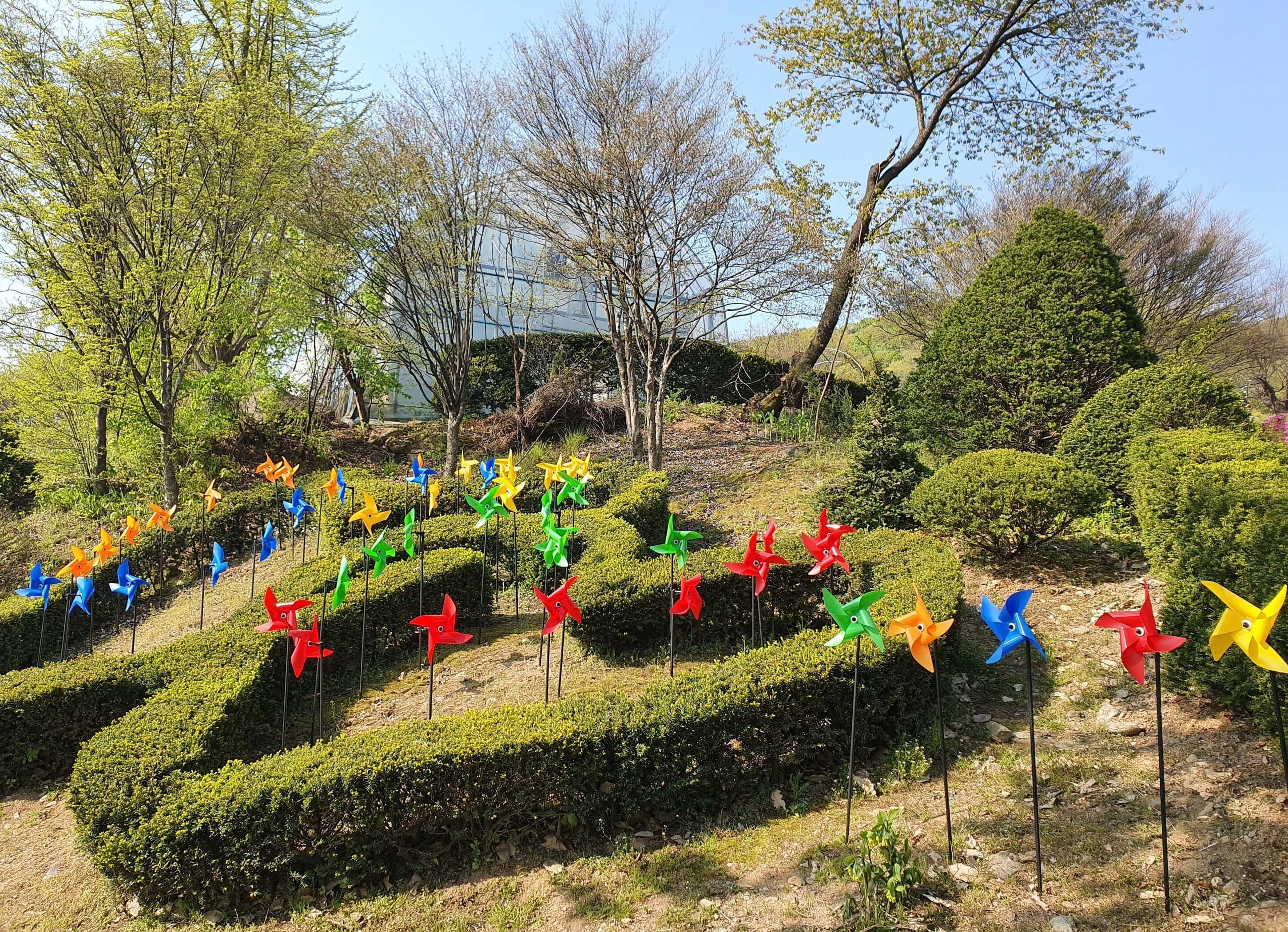 광주 율봄식물원 수국 축제