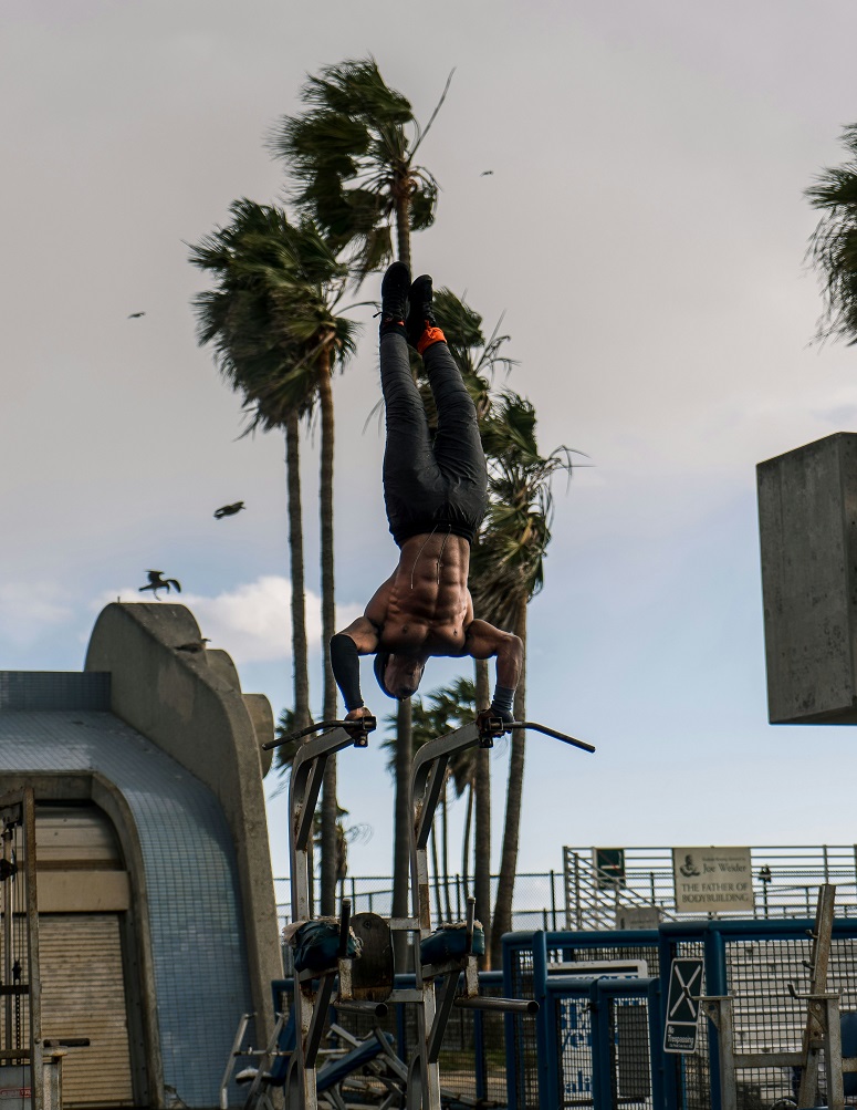 갑상선 호르몬 수치