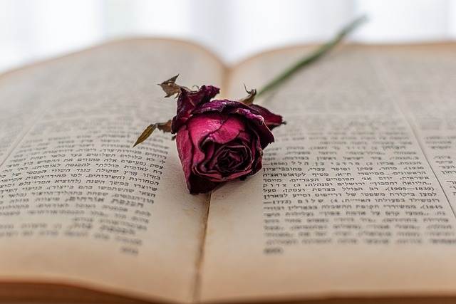 노션으로 찾는 나의 가치관: 책 속에서 삶의 기준을 정리하는 방법