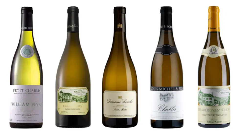 스페인의-핀초와-어울리는-와인들의-사진