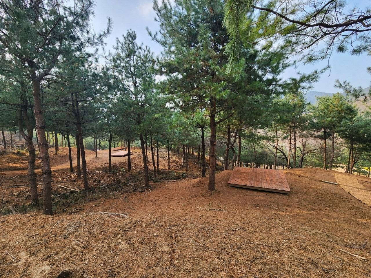 의정부 자일산림욕장