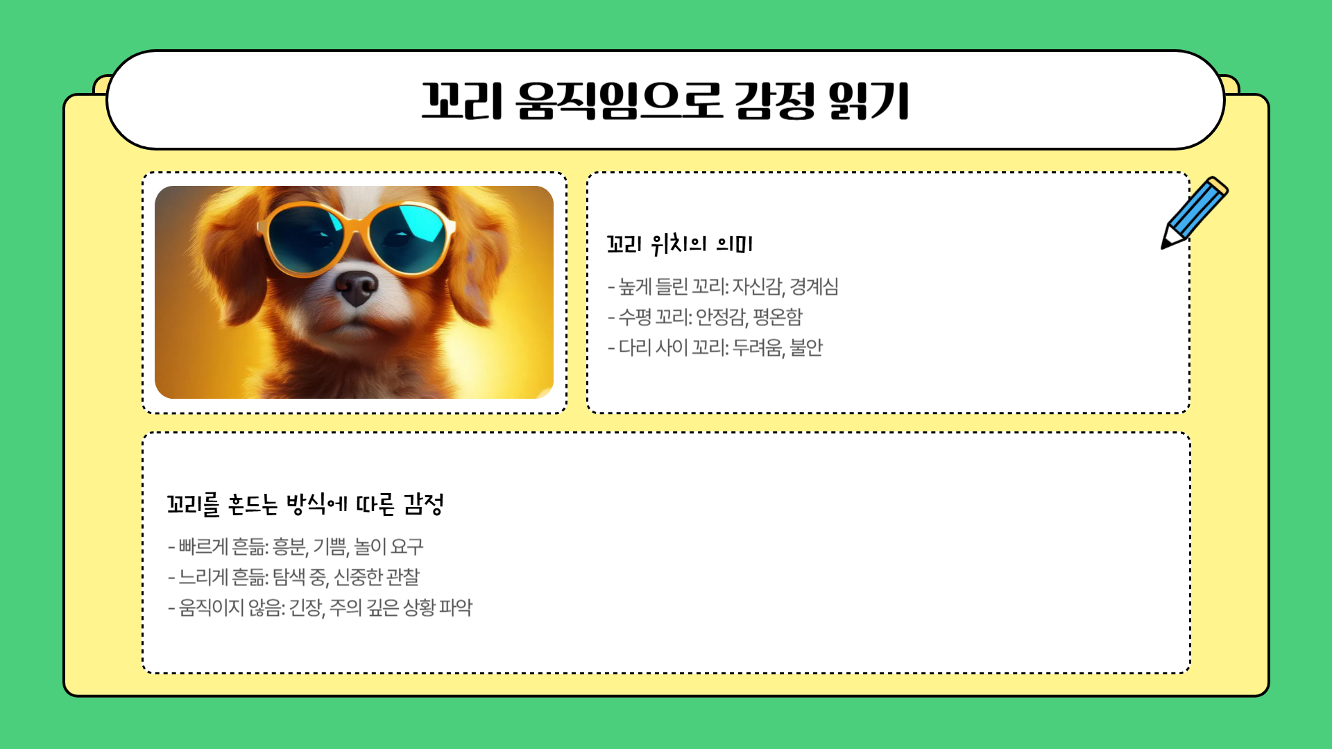 강아지의 행동 언어