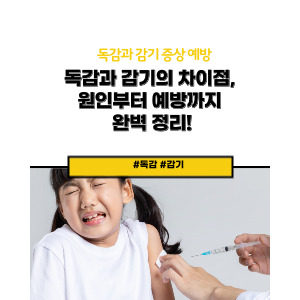 독감과 감기