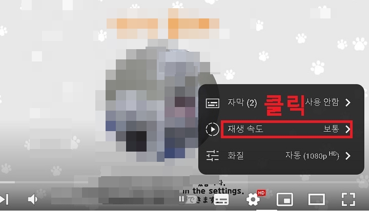 재생 속도 클릭함
