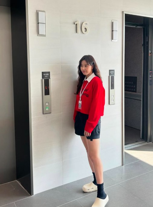 박하나 나이 프로필