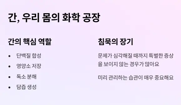 간 역할